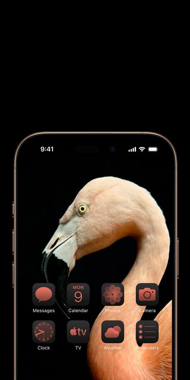 iPhone 17 Pro и iPhone 17 Air — заглянем в будущее технологий