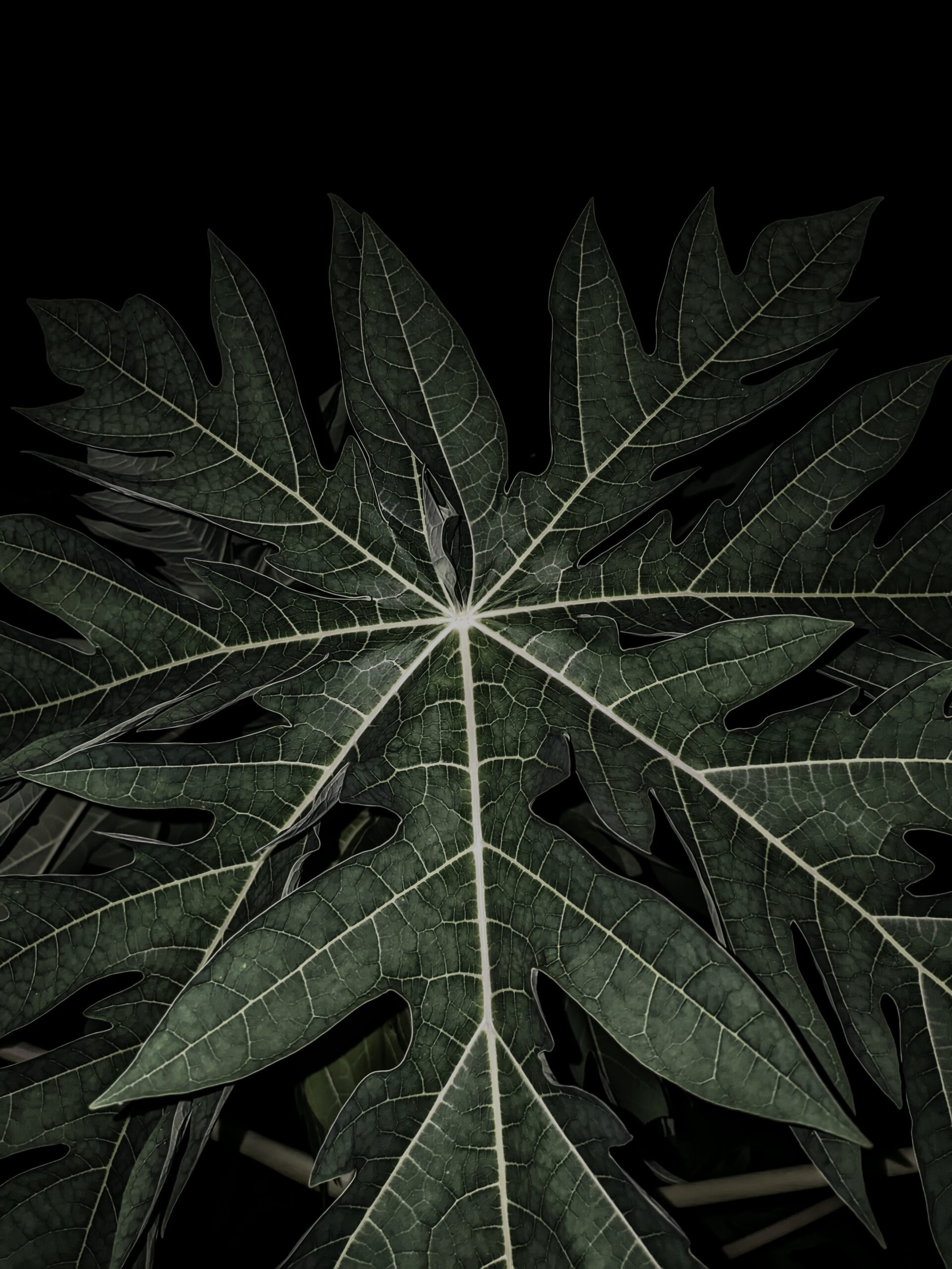 8 бюджетних смартфонів з чудовою камерою: від 7000 грн