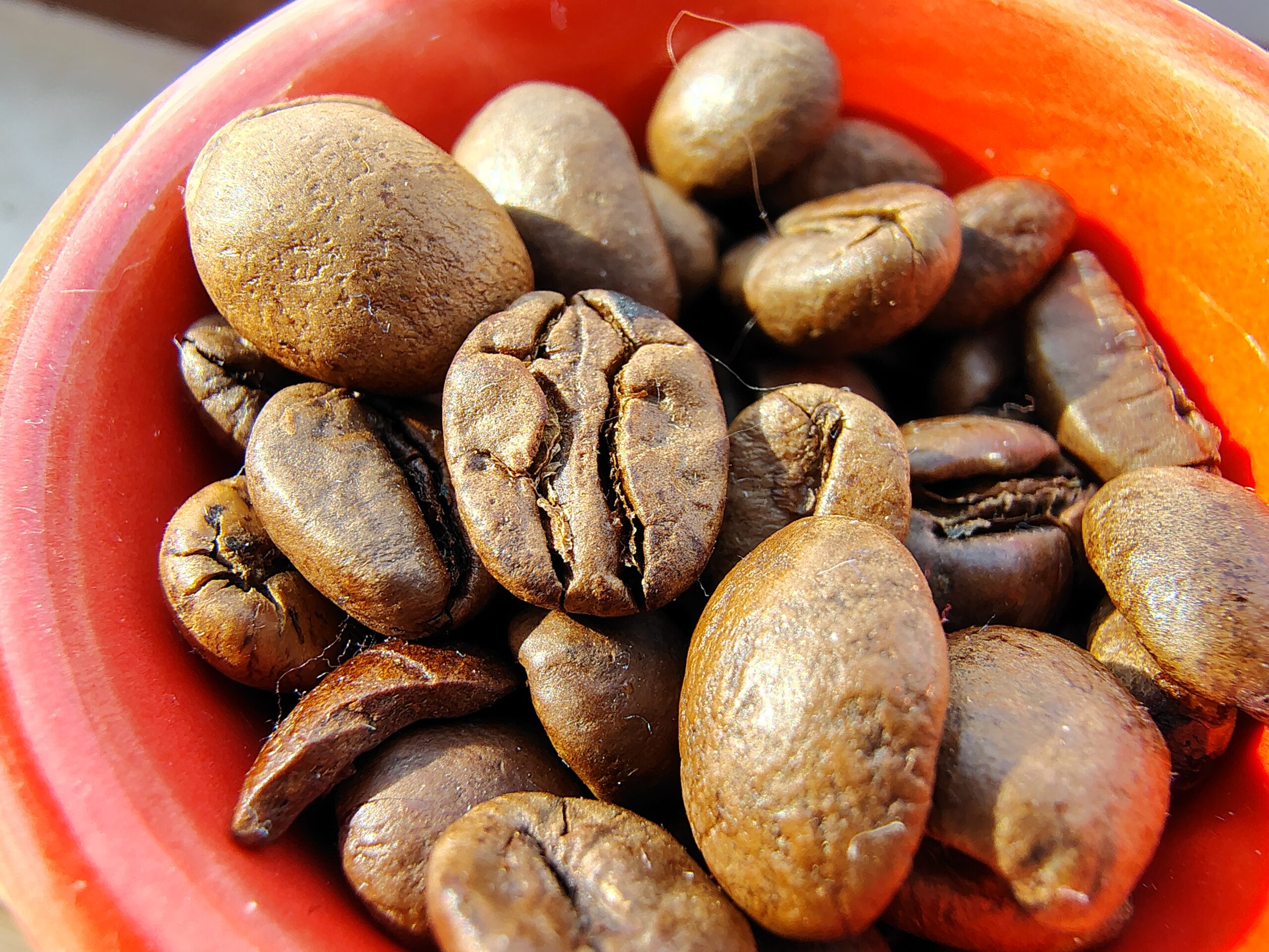 8 бюджетних смартфонів з чудовою камерою: від 7000 грн