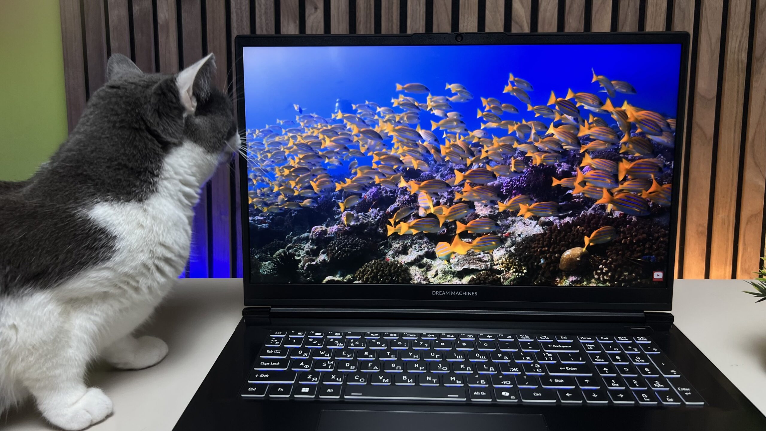 Dream Machines 17" з Core i9: майже ідеал для рендеру. У чому підступ?